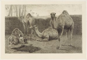 الجمال بواسطة August Le Gras