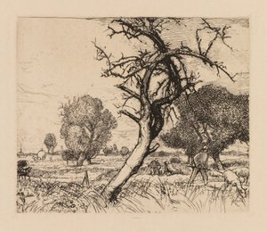 أوغست ليبيري: Le pommier mort Picardie ، 1913. بواسطة أوغست لويس ليبيري