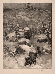 روش كوفييه شاتيلون ، 1887. بواسطة أوغست لويس ليبيري