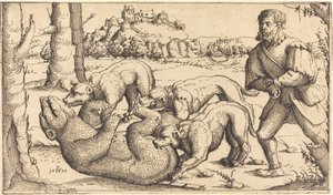 بير هانت ، 1545. بواسطة أوغسطين هيرشفوغل