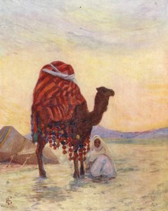 محفة باش آغا، بسكرة (طباعة حجرية ملونة) بواسطة أوغسطين فيتزجيرالد