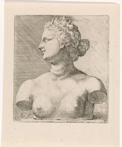 تمثال نصفي لـ Venus de 