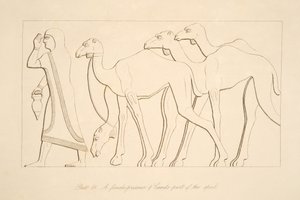 سجينة وجمل ، رسم توضيحي من آثار نينوى ، 1849 بواسطة أوستن هنري لايارد