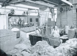 الجزء الداخلي من Hat Mill ، Victoria ، c.1900 ، من "تحت الصليب الجنوبي - لمحات من أستراليا" ، نُشر عام 1908 بواسطة مصور استرالي