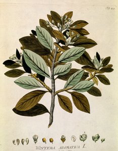  بواسطة المدرسة النمساوية