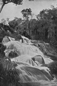 شلال على نهر جولدن لينكو ، 1895