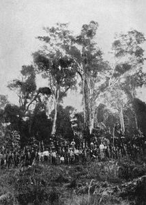 فيرجن متى ، 1895
