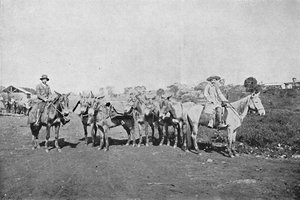 تجار الداخلية ، تجار الداخلية ، 1895