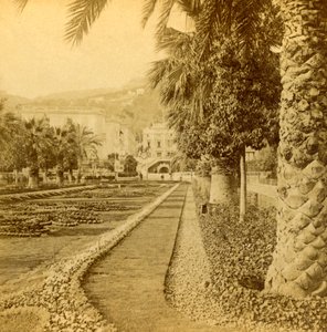 مونتي كارلو ، نظر من الكازينو ، 1897.