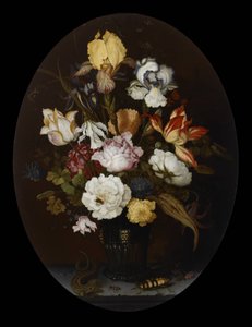  بواسطة Balthasar van der Ast