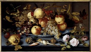 لا تزال حياة الفاكهة والزهور والأصداف والحشرات. اللوحة بواسطة Balthasar Van Der Ast (1590-1656) Ec. هول