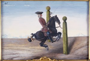 No.46 حصان خليج مدرسة الفروسية الإسبانية يقوم بحركة ترويض تسمى Croupade (مرحاض على ورق)