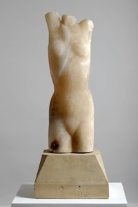 الجذع بواسطة باري هارت