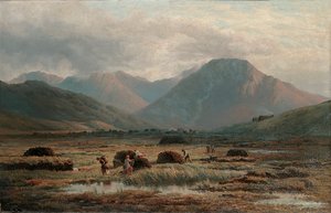 Peat Bog ، Letterfrack ، Connemara بواسطة بارثولوميو كوليز واتكينز