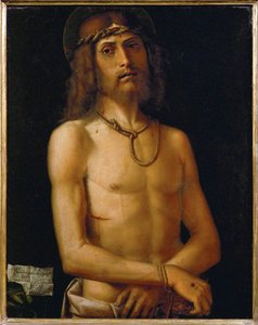  بواسطة بارتولوميو (نمط) (فل سي 1619) مونتانا
