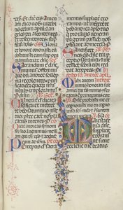 Missale: Fol. 260: أوراق الشجر مع الفاكهة ، 1469. بواسطة بارتولوميو كابورالي