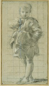 A young boy standing (black chalk on carta azzurra)