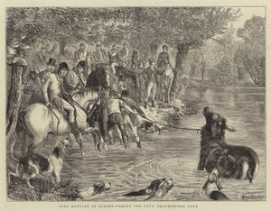 صيد الأيل في Surrey ، مع أخذ الغزلان ، Shackleford Pond