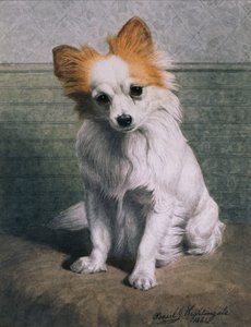 لعبة الكلب بواسطة باسل ج. نايتنجيل