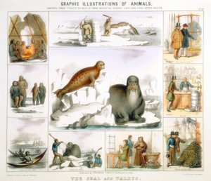 الختم والفظ ، c1850