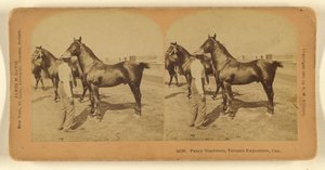 السيارات الفارهة، معرض تورونتو، كان. بواسطة بنيامين ويست كيلبورن