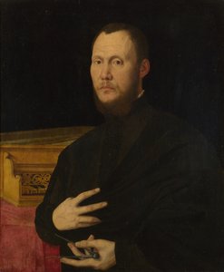 صورة موسيقي ، ج. 1565 بواسطة برناردينو كامبي