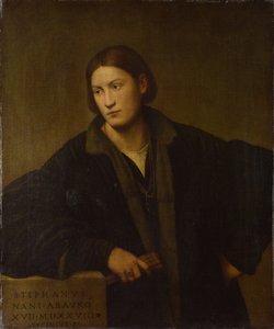 صورة ستيفانو ناني ، 1528 بواسطة برناردينو ليسينيو