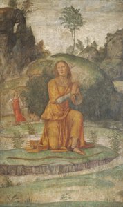 صلاة Procris لديانا ، ج. 15201522. بواسطة برناردينو لويني
