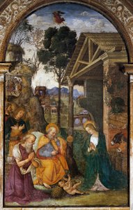 المهد مع القديس جيروم ، لوحة جدارية شبابية لبرناردينو بيتي المعروفة باسم Il Pinturicchio بواسطة برناردينو دي بيتو بينتوريتشيو