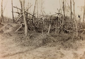 Album of the First World War in Friuli-Venezia Giulia: defensive obstacle (cavalli di Frisia), 05/1916 (b/w photo) بواسطة بيرتوني بيرتوني