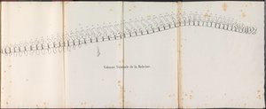 العمود الفقري للحوت 1827 Colonne Vertébrale de la Baleine (العنوان على الكائن) بواسطة جان بابتيست أمبرواز مارسيلين جوبارد