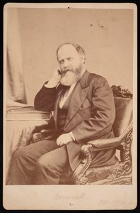 صورة لجون أنجل جيمس كريسويل 1828-1891 ، قبل 1891.