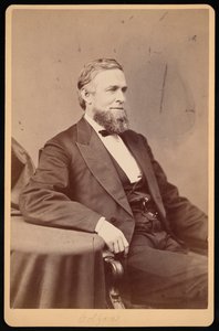 صورة لشويلر كولفاكس 1823-1885 ، قبل عام 1885.