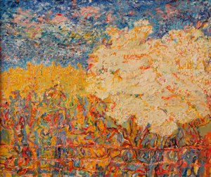شجرة Elderflower II