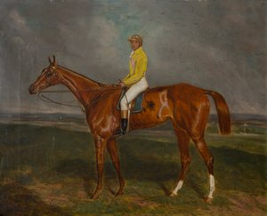حصان سباق الكستناء مع الفارس ، حوالي 1860-90 (زيت على قماش) بواسطة المدرسة البريطانية