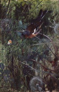 تشافينش بواسطة برونو أندرياس ليلجيفورز