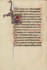 البداية د: شاب يسلم التاج لداود