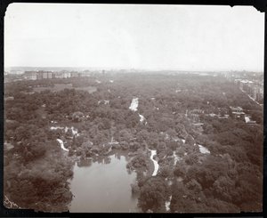 منظر سنترال بارك من فندق بلازا ، الجادة الخامسة وشارع 59 ، نيويورك ، c.1907 (طباعة الجيلاتين الفضي) بواسطة شركة بايرون