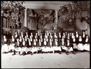 نوادل في فندق دلمونيكو ، 1902 (طباعة الجيلاتين الفضي) بواسطة شركة بايرون
