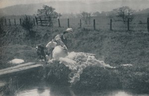 قص الأغنام ، 1910 بواسطة C. ريد