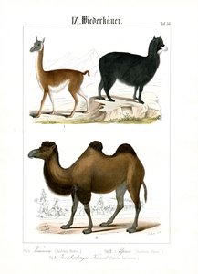  بواسطة 