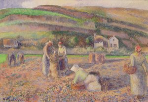 حصاد البطاطا ، 1886 بواسطة كميل يعقوب بيسارو