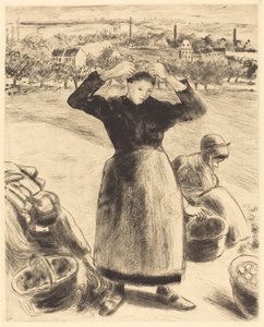 جمع حصاد البطاطس 1886. بواسطة كميل بيسارو