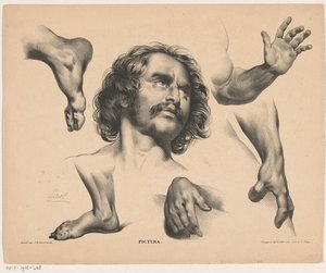 رأس الرجل والقدمين واليدين والذراعين Pictura (عنوان السلسلة على الكائن) بواسطة كاريل كريستيان أنطوني آخر
