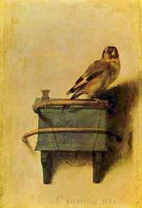 Arabic:  الحسُّون The goldfinch. بواسطة كاريل فابريتيوس
