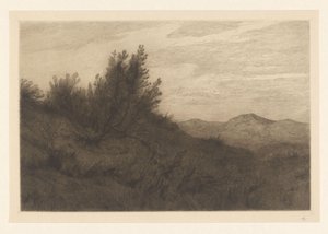 منظر الكثبان الرملية Les dunes à Zandvoort (العنوان الأصلي)