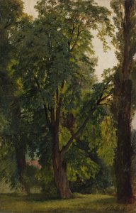 خشب في Konigswusterhausen (زيت على قماش مرسوم على ورق مقوى)