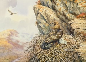النسور الذهبية في Eyrie بواسطة كارل دونر