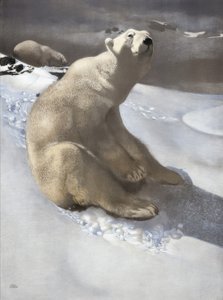 Icebear بواسطة كارل إيدير