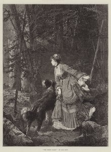 The Forest Glade